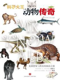 路人甲的穿越日常