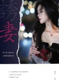 山茶与梨林木子鱼讲的什么故事