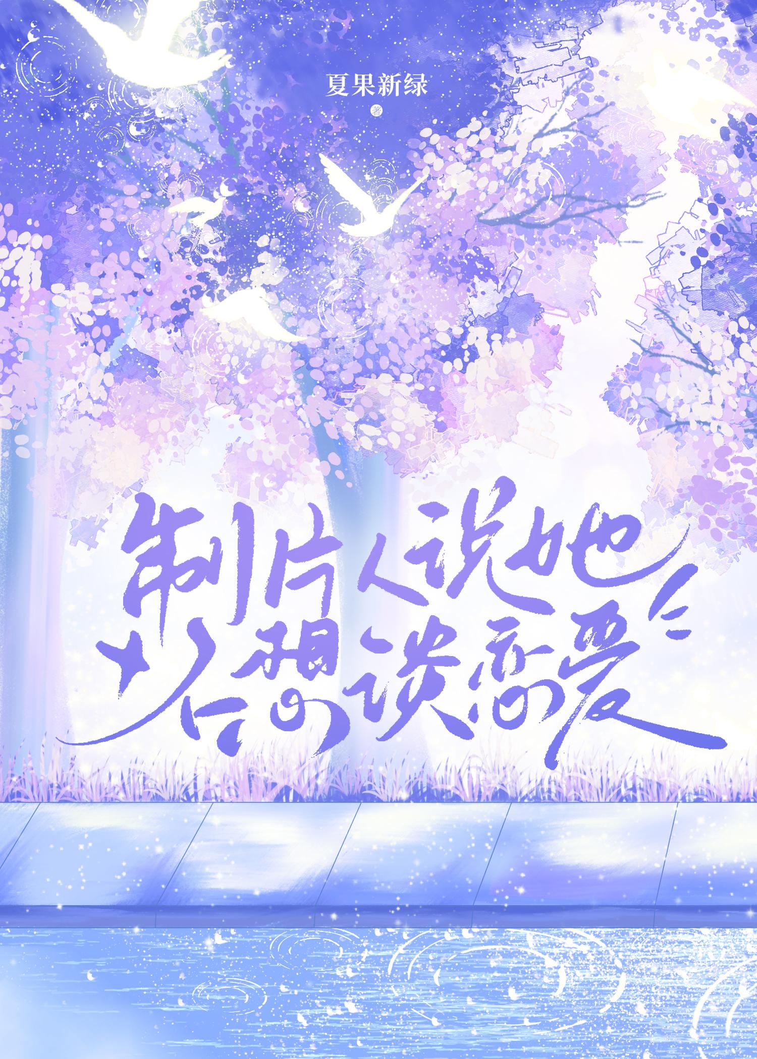 机武风暴精校版