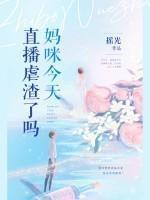 柔情母上原著叫什么名字来着