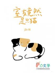 四合院大宅