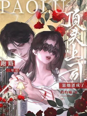 乘风万里是什么歌