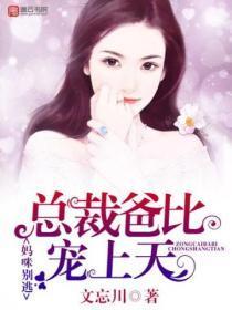 公主殿下臣退了这一退就是一辈子