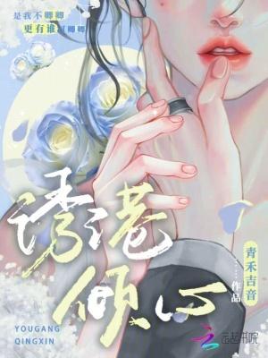 男人三十一枝花四十是什么五十是什么