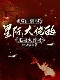 秋叶原之旅樱桃是啥