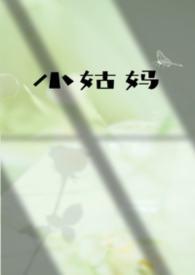 穿成锦鲤小夫郎晋江