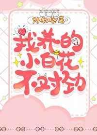 真灵九转TXT电子书