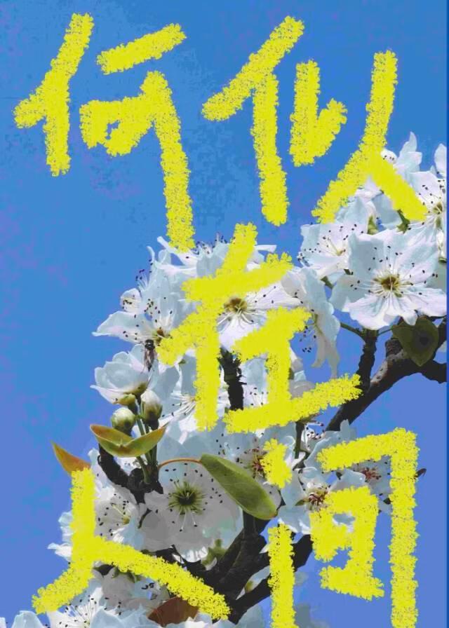 分手后，和联姻对象he了