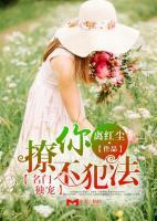 莉可丽丝第一季全集免费观看