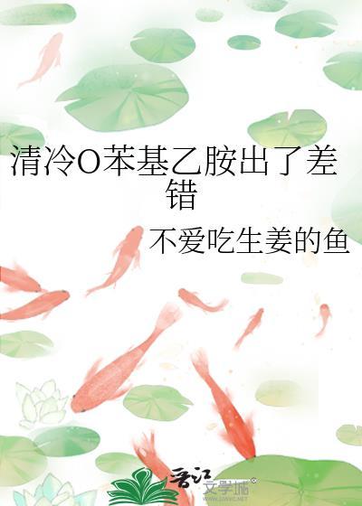 婚不将舅阅读全文