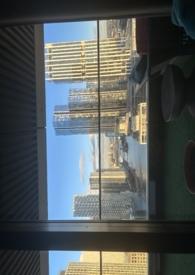 莫晚流年醉倾城 最新章节 无弹窗