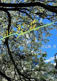 我的高冷女总裁陆尘