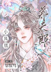 在下壶中仙女主