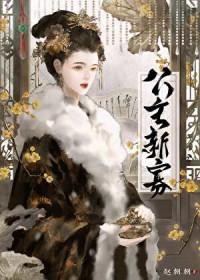 改嫁东宫太子云盘