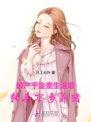 等飞鸟打湿羽翼是什么歌