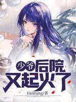 椎名由奈什么时候退役