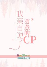 我们是游戏玩家免费阅读