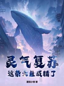 大设定师非天夜翔讲的什么