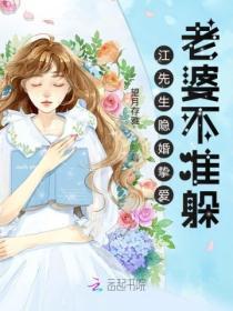 夫人又换马甲去浪了电子书TXT