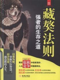 我的高冷女总裁老婆免费