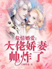 他会证明我爱你TXT