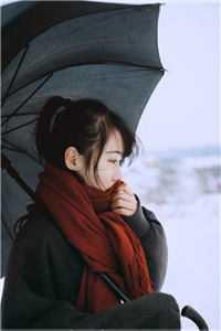 前任和狗都不放手免费阅读