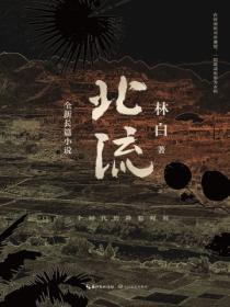 两只风筝的英文