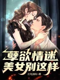 魔法少女奈叶第三季免费观看