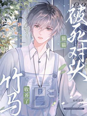 在下壶中仙好看吗